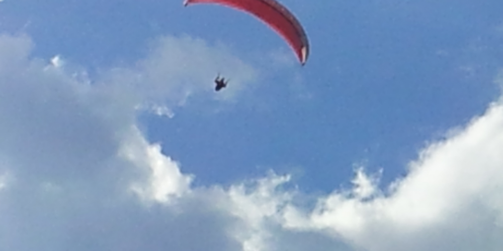 1. Leonardo Da Vinci